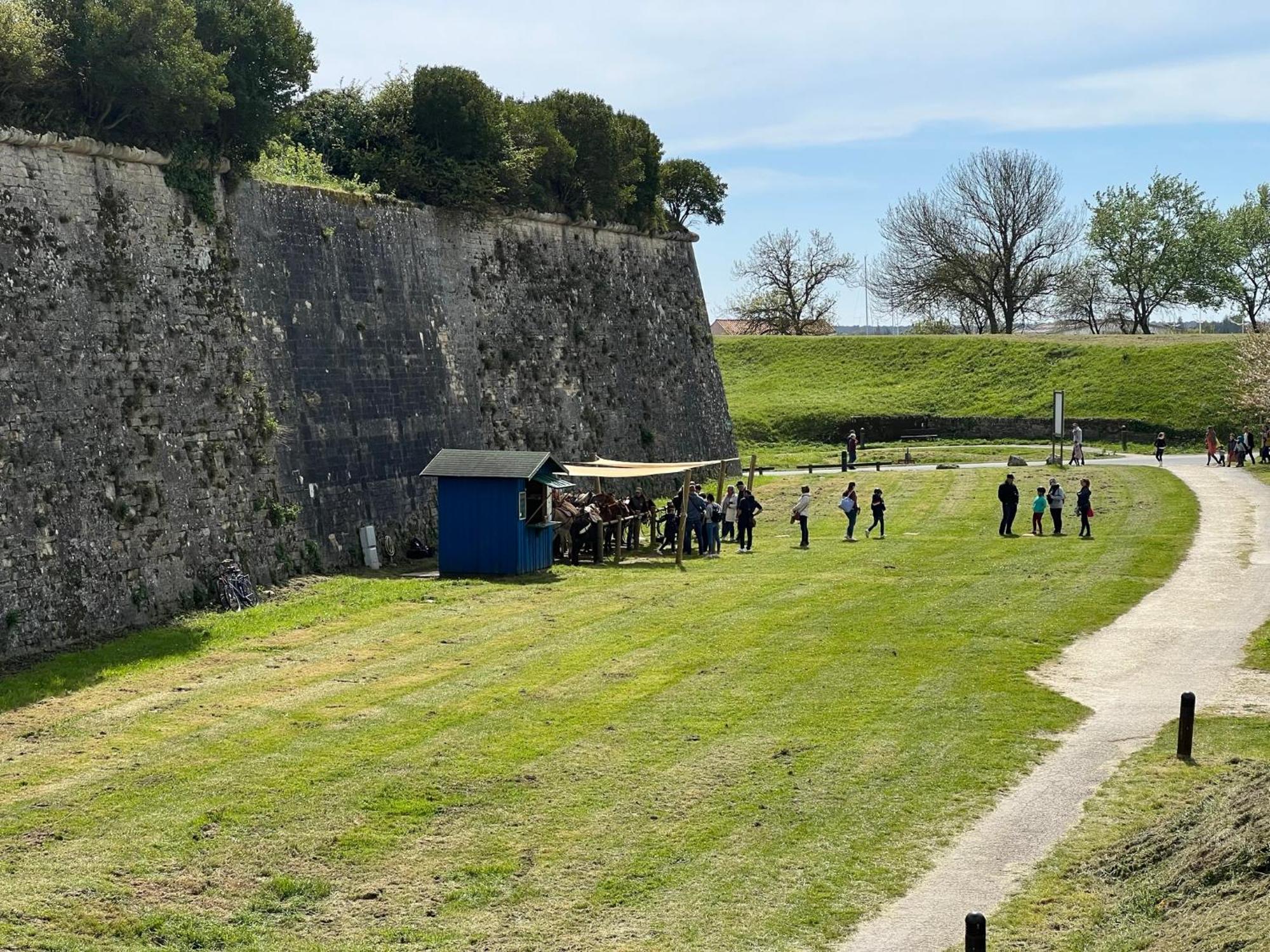Les Amareyeurs - Ile D'Oleron - Maison Classee 3 Etoiles Avec Piscine - Clim - Velos Le Chateau-d'Oleron Ngoại thất bức ảnh