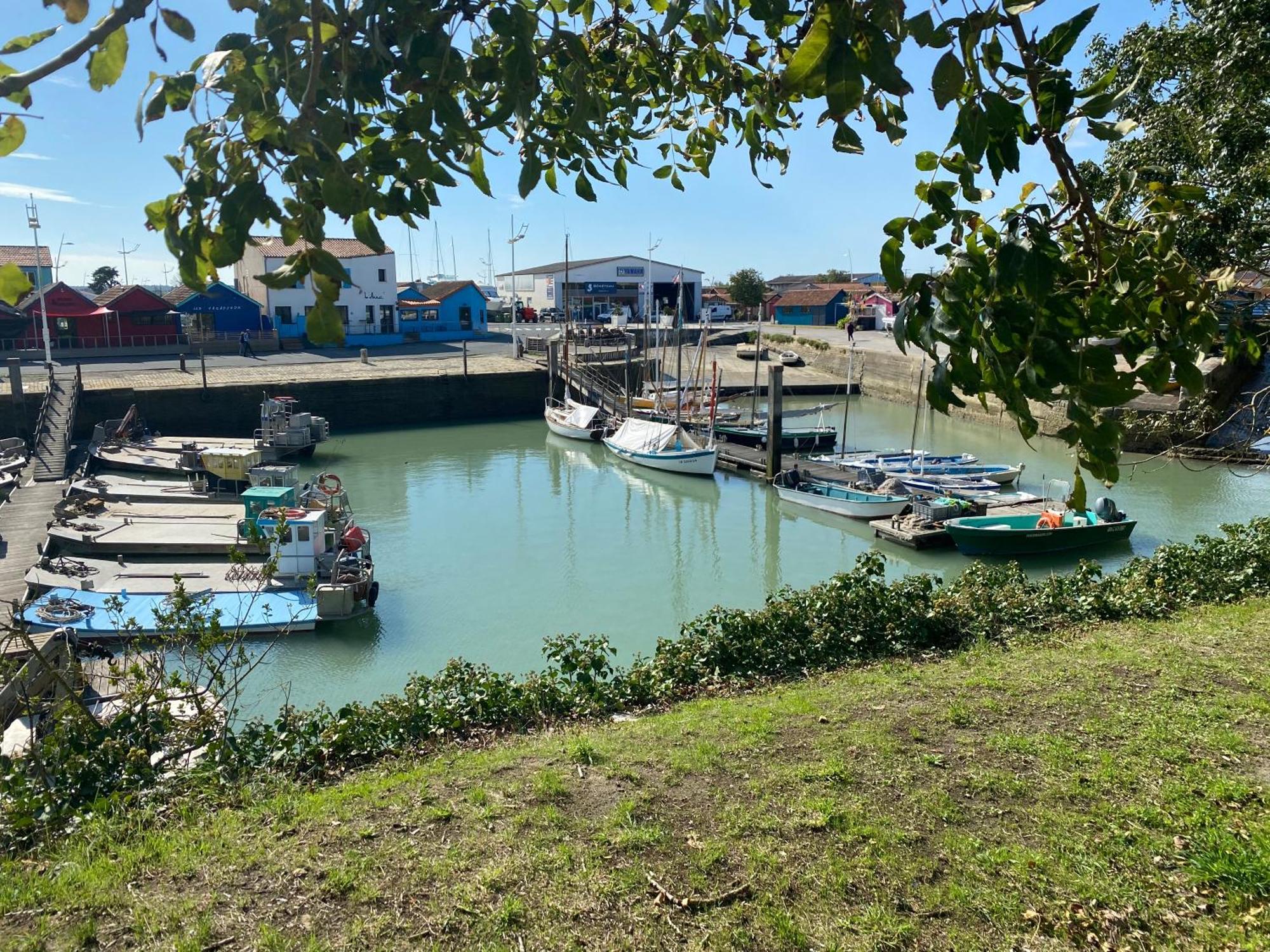 Les Amareyeurs - Ile D'Oleron - Maison Classee 3 Etoiles Avec Piscine - Clim - Velos Le Chateau-d'Oleron Ngoại thất bức ảnh